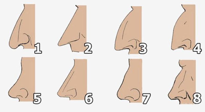ทายใจทายนิสัย จากโครงจมูกของคุณ